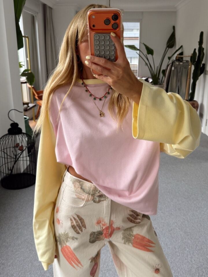 SARI-PEMBE BASİC